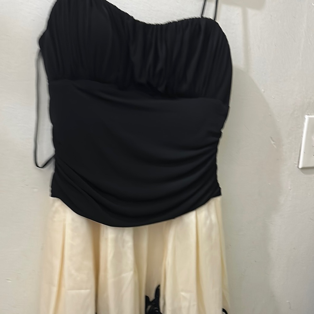 Elegant Black and Cream Dress